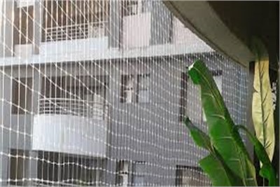 Anti bird Netting services in Sighgad Road Pune
